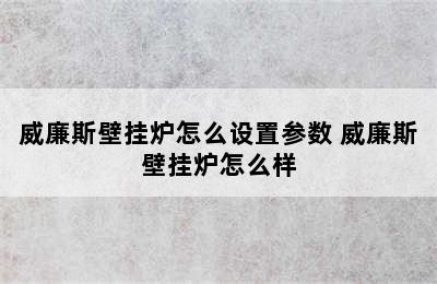 威廉斯壁挂炉怎么设置参数 威廉斯壁挂炉怎么样